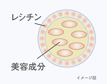 リポソーム構造.png__PID:2fdfd313-cdbe-4f80-9d1f-d86c9addca55